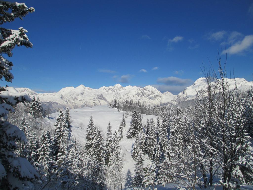 Tisa Velika Planina * Stahovica