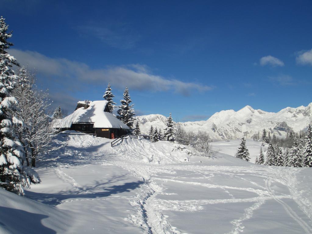 Tisa Velika Planina Chalet *