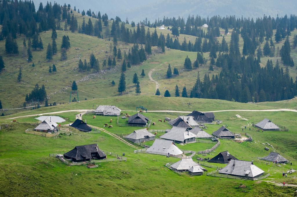 Tisa Velika Planina Chalet *
