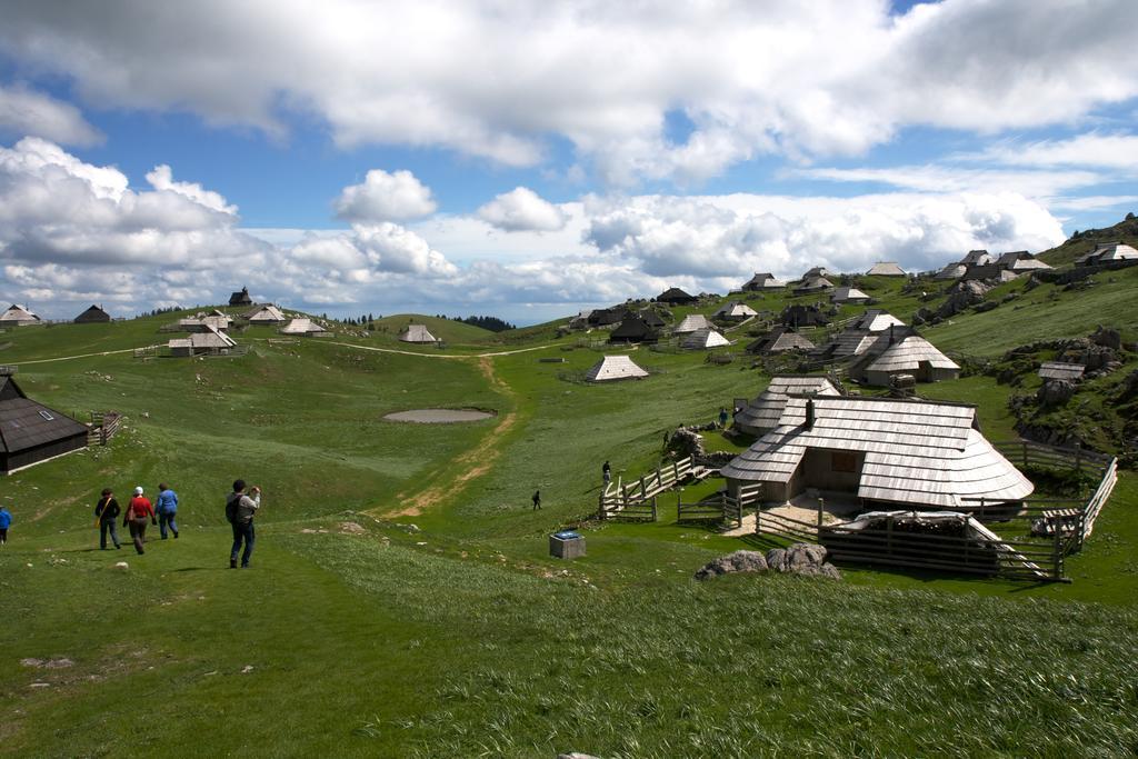 Chalet Tisa Velika Planina Stahovica