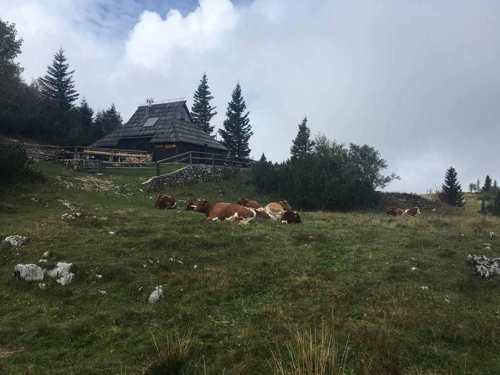 Tisa Velika Planina Chalet