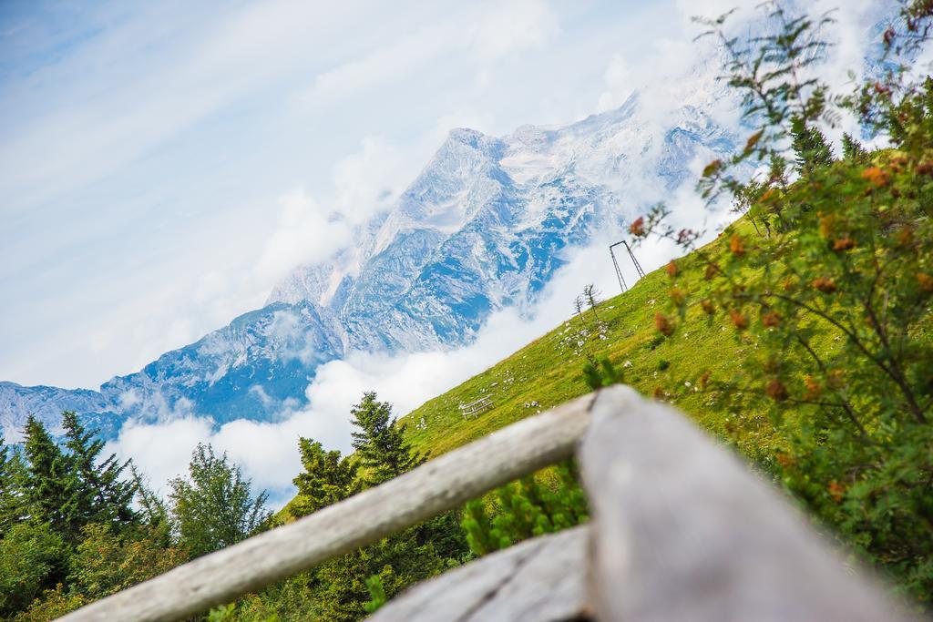 Chalet Tisa Velika Planina *