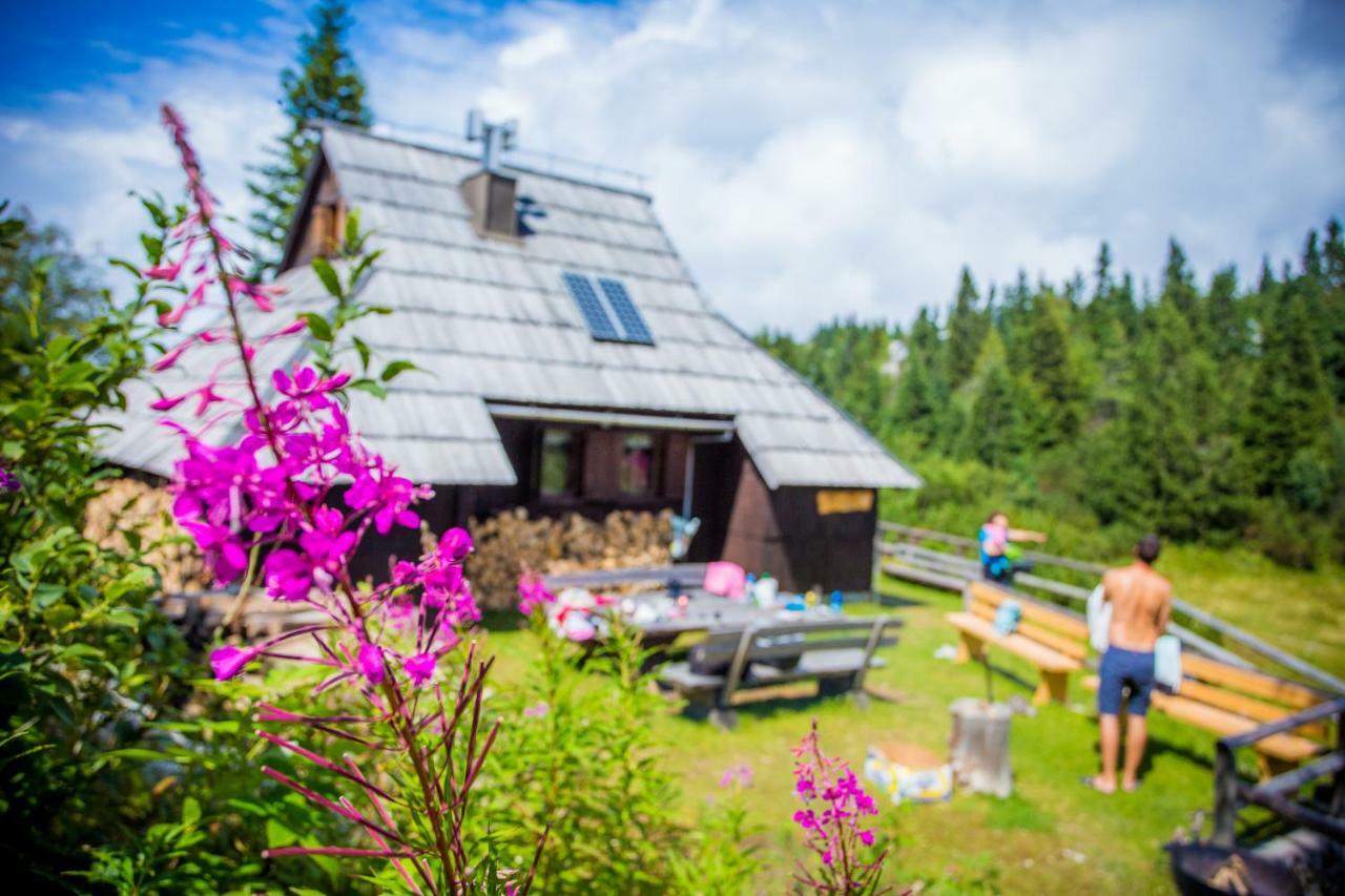 Tisa Velika Planina Chalet *