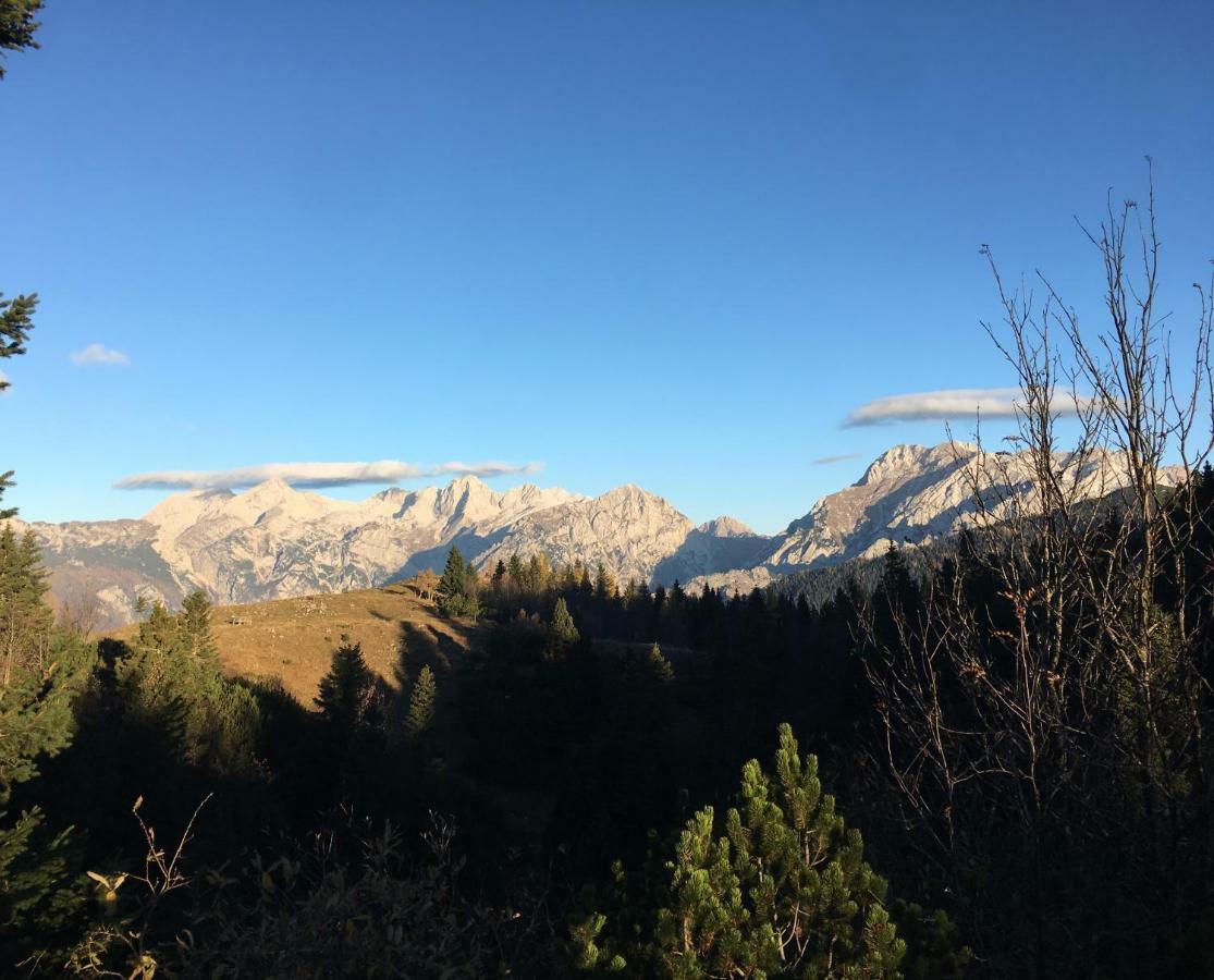 Chalet Tisa Velika Planina